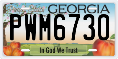 GA license plate PWM6730
