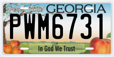 GA license plate PWM6731