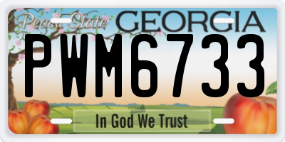 GA license plate PWM6733