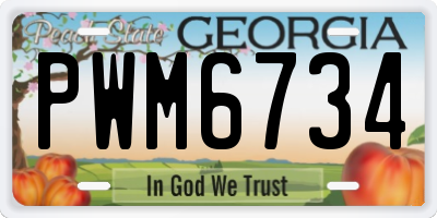 GA license plate PWM6734