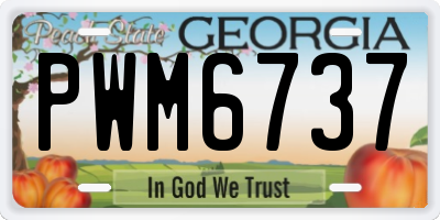 GA license plate PWM6737