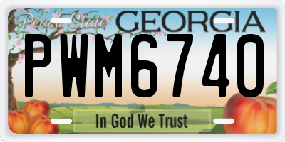 GA license plate PWM6740
