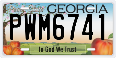 GA license plate PWM6741