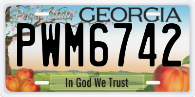 GA license plate PWM6742