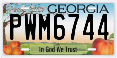 GA license plate PWM6744