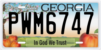 GA license plate PWM6747