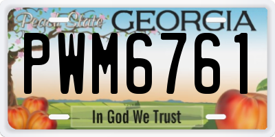 GA license plate PWM6761