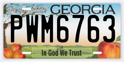 GA license plate PWM6763