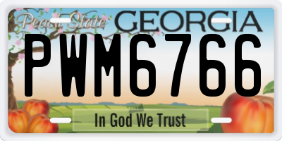 GA license plate PWM6766