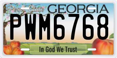 GA license plate PWM6768