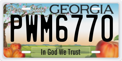 GA license plate PWM6770