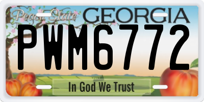 GA license plate PWM6772