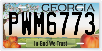GA license plate PWM6773