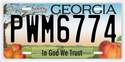 GA license plate PWM6774
