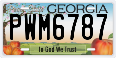 GA license plate PWM6787