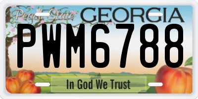 GA license plate PWM6788