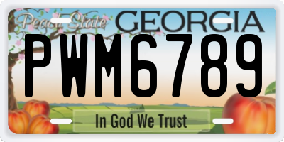 GA license plate PWM6789