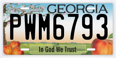 GA license plate PWM6793