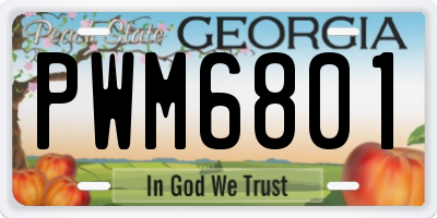 GA license plate PWM6801