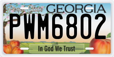 GA license plate PWM6802