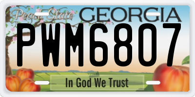 GA license plate PWM6807