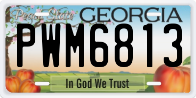 GA license plate PWM6813