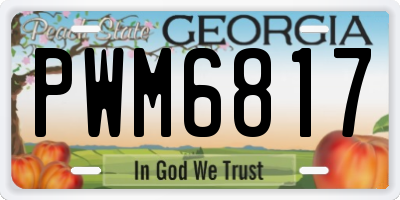 GA license plate PWM6817