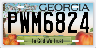 GA license plate PWM6824