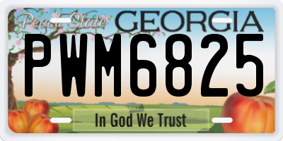 GA license plate PWM6825
