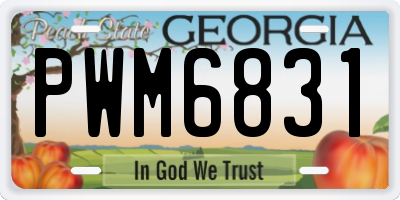 GA license plate PWM6831