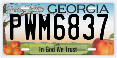 GA license plate PWM6837