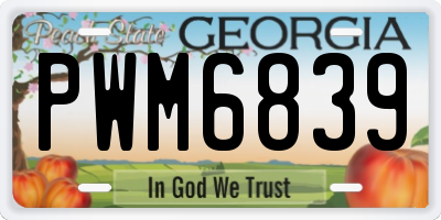 GA license plate PWM6839