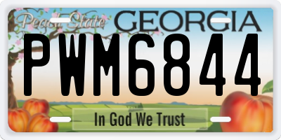 GA license plate PWM6844