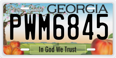 GA license plate PWM6845