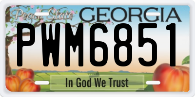GA license plate PWM6851