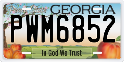 GA license plate PWM6852