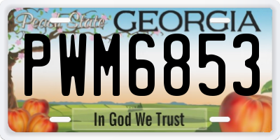 GA license plate PWM6853