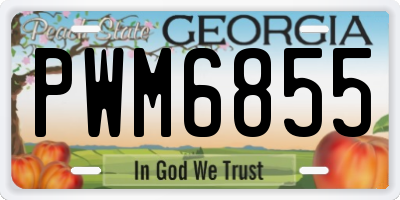 GA license plate PWM6855
