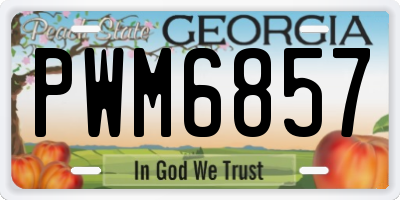 GA license plate PWM6857