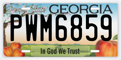 GA license plate PWM6859