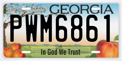 GA license plate PWM6861