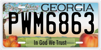 GA license plate PWM6863