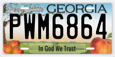 GA license plate PWM6864