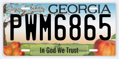 GA license plate PWM6865