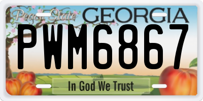 GA license plate PWM6867