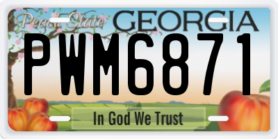 GA license plate PWM6871