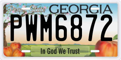 GA license plate PWM6872