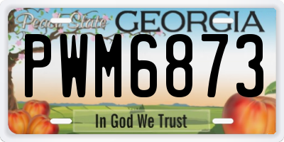 GA license plate PWM6873