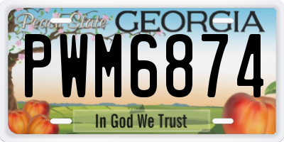 GA license plate PWM6874