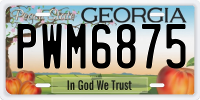 GA license plate PWM6875